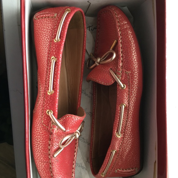 Shows - Picture 7 of 8